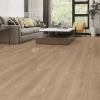 Ламинат Alpine Floor Дуб Элеганс L 1009
